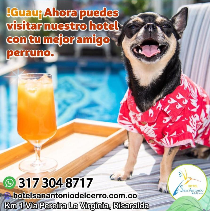 Hotel San Antonio Del Cerro Cerritos